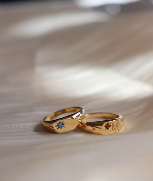 Signet initial ring with one birthstone